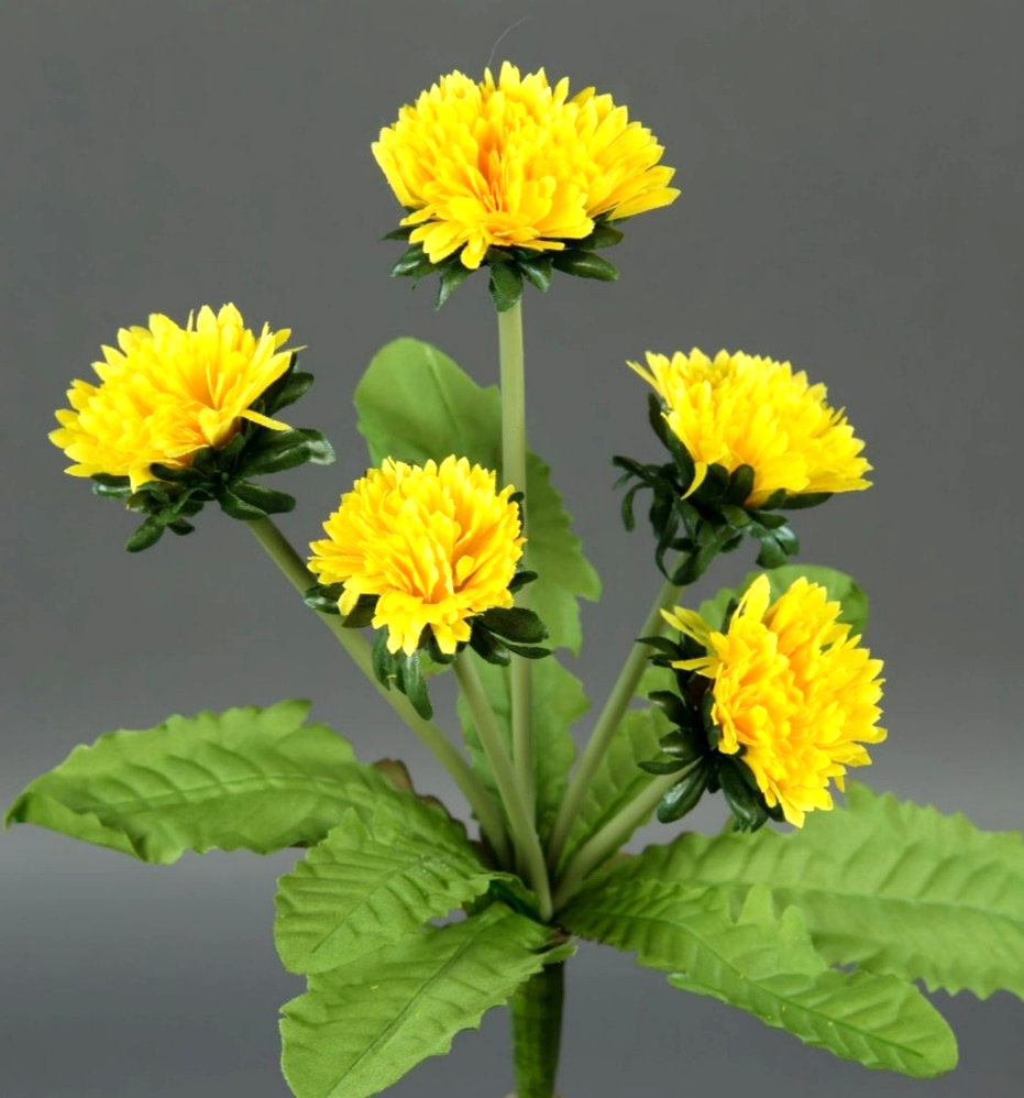 Image of an artificial dandelion plant with 5 flower heads